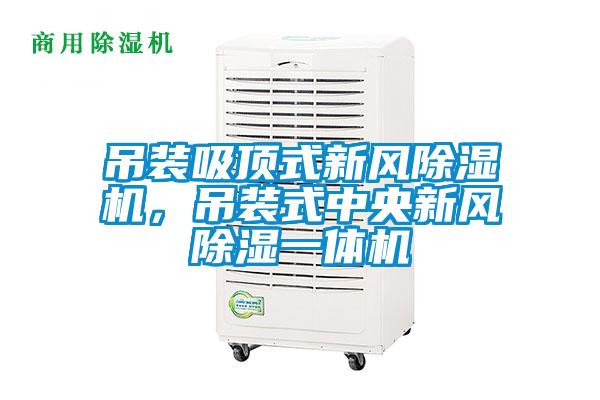 吊裝吸頂式新風除濕機，吊裝式中央新風除濕一體機