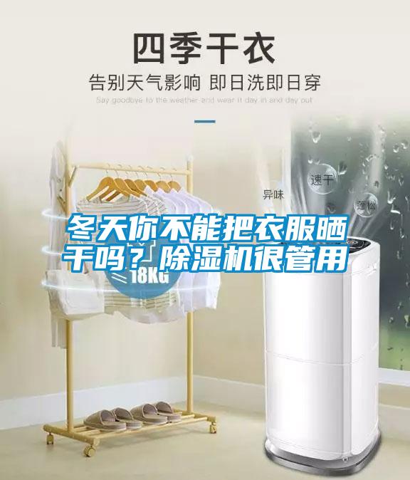 冬天你不能把衣服曬干嗎？除濕機很管用