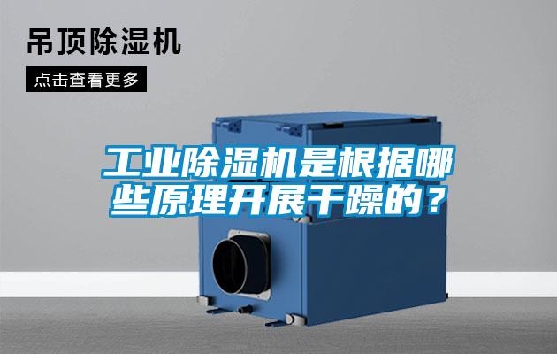 工業除濕機是根據哪些原理開展干躁的？