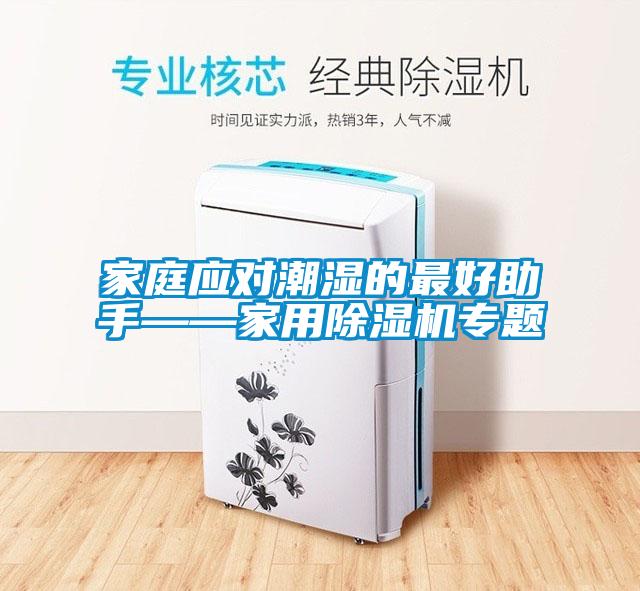 家庭應對潮濕的最好助手——家用除濕機專題