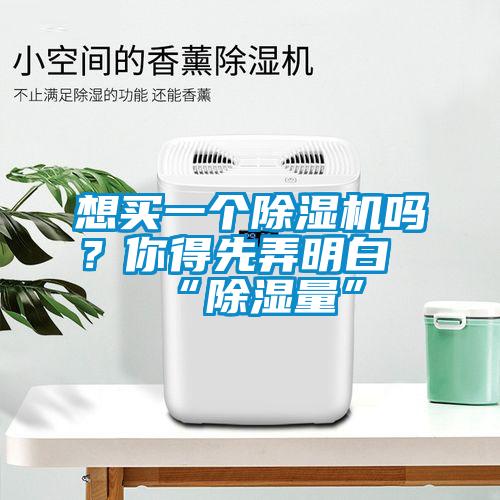 想買一個除濕機嗎？你得先弄明白“除濕量”