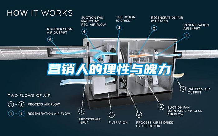 營銷人的理性與魄力