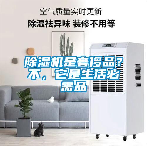 除濕機是奢侈品？不，它是生活必需品