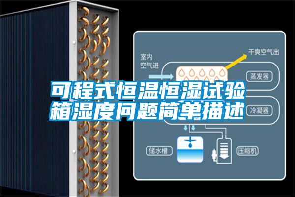 可程式恒溫恒濕試驗(yàn)箱濕度問題簡單描述