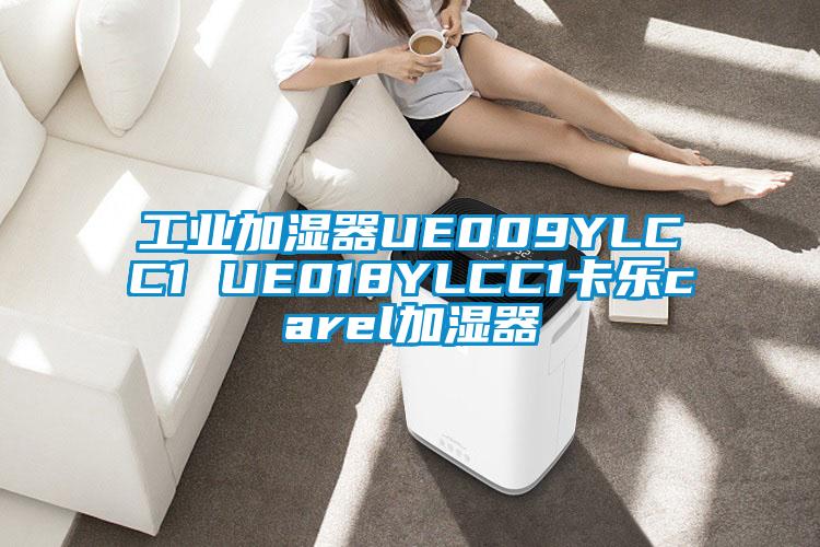 工業加濕器UE009YLCC1 UE018YLCC1卡樂carel加濕器