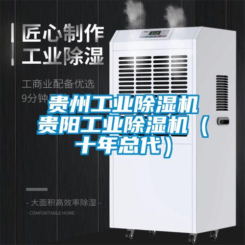 貴州工業除濕機貴陽工業除濕機（十年總代）