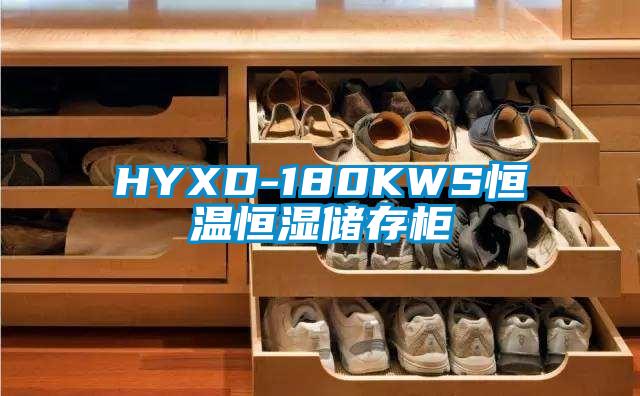 HYXD-180KWS恒溫恒濕儲存柜