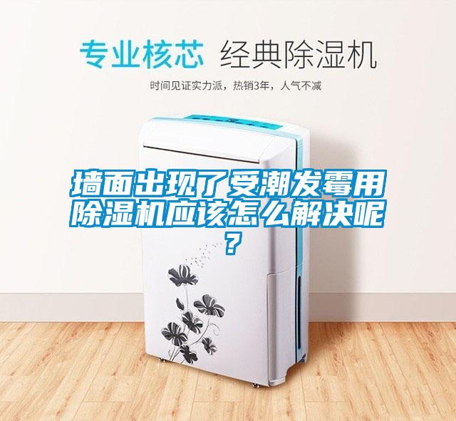 墻面出現了受潮發霉用除濕機應該怎么解決呢？