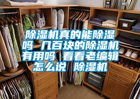 除濕機真的能除濕嗎 幾百塊的除濕機有用嗎 看看老編輯怎么說 除濕機