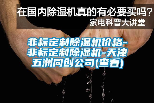 非標定制除濕機價格-非標定制除濕機-天津五洲同創公司(查看)