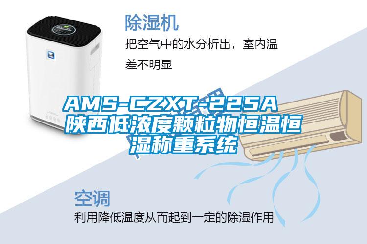 AMS-CZXT-225A  陜西低濃度顆粒物恒溫恒濕稱重系統