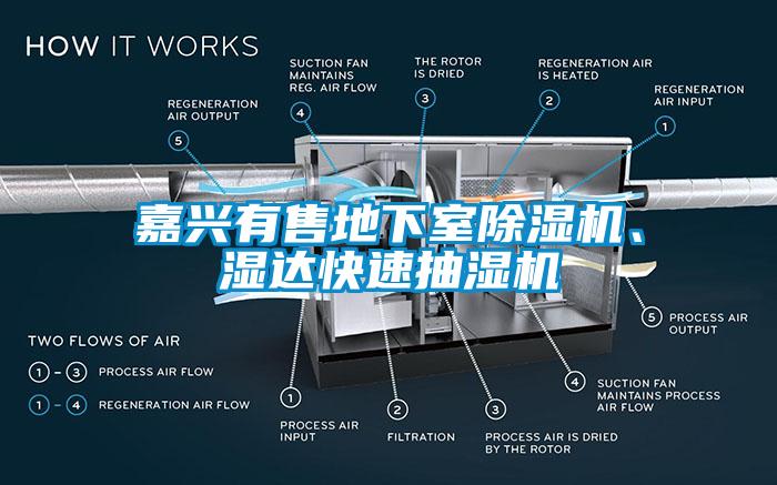 嘉興有售地下室除濕機(jī)、濕達(dá)快速抽濕機(jī)