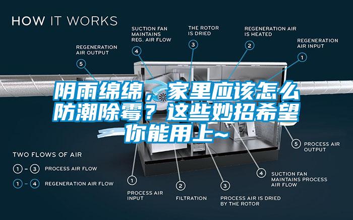 陰雨綿綿，家里應(yīng)該怎么防潮除霉？這些妙招希望你能用上~