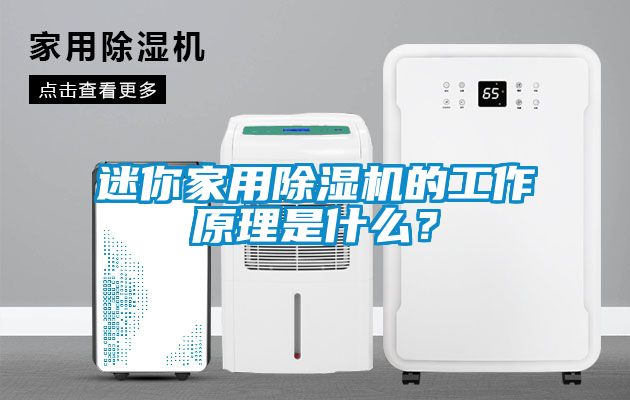 迷你家用除濕機的工作原理是什么？