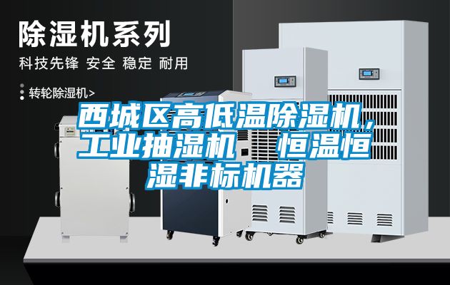 西城區(qū)高低溫除濕機，工業(yè)抽濕機  恒溫恒濕非標機器