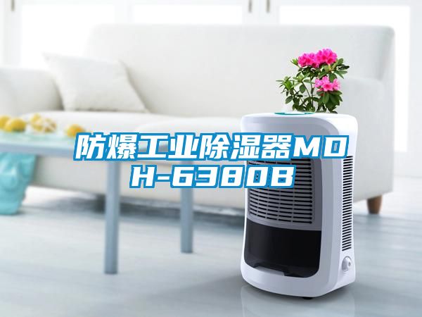 防爆工業除濕器MDH-6380B