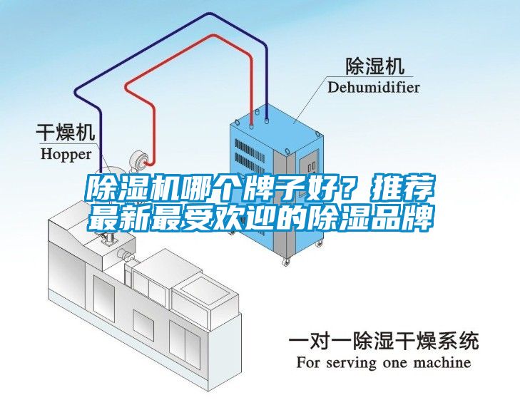 除濕機哪個牌子好？推薦最新最受歡迎的除濕品牌