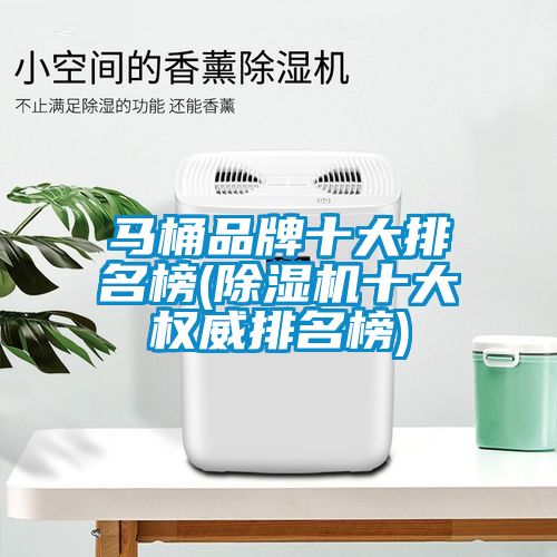 馬桶品牌十大排名榜(除濕機(jī)十大權(quán)威排名榜)