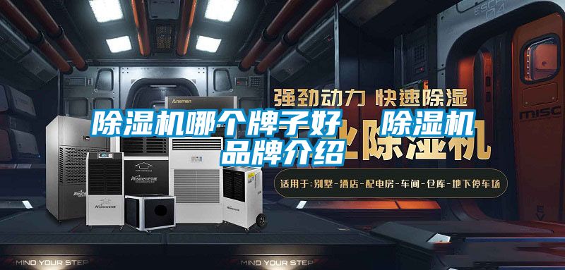 除濕機哪個牌子好  除濕機品牌介紹