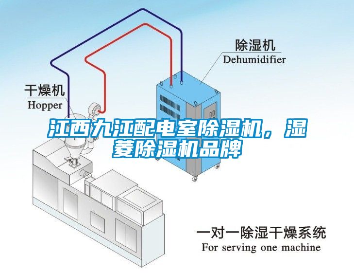 江西九江配電室除濕機(jī)，濕菱除濕機(jī)品牌