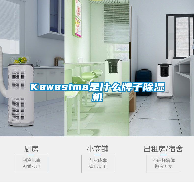 Kawasima是什么牌子除濕機(jī)