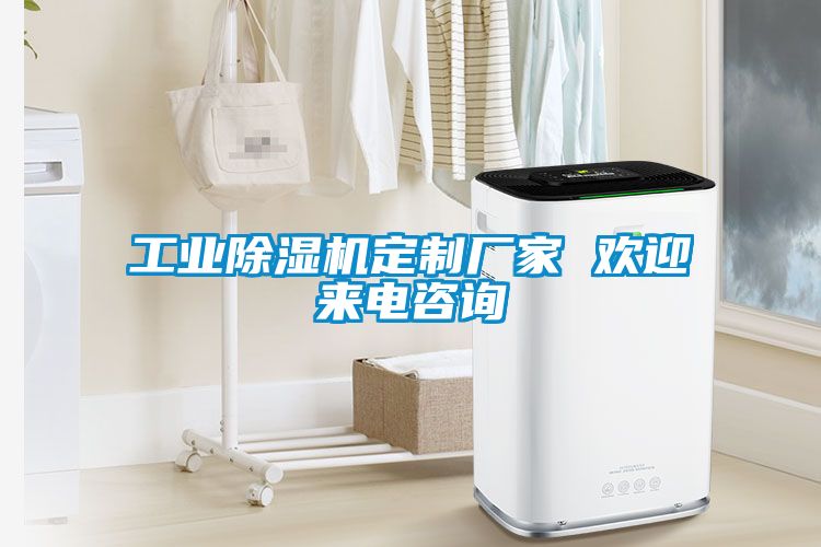 工業(yè)除濕機(jī)定制廠家 歡迎來(lái)電咨詢