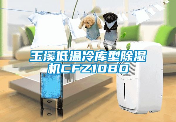 玉溪低溫冷庫型除濕機CFZ10BD